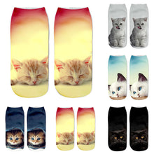 Popular Funny Unisex Short Cat Socks