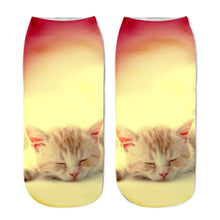 Popular Funny Unisex Short Cat Socks